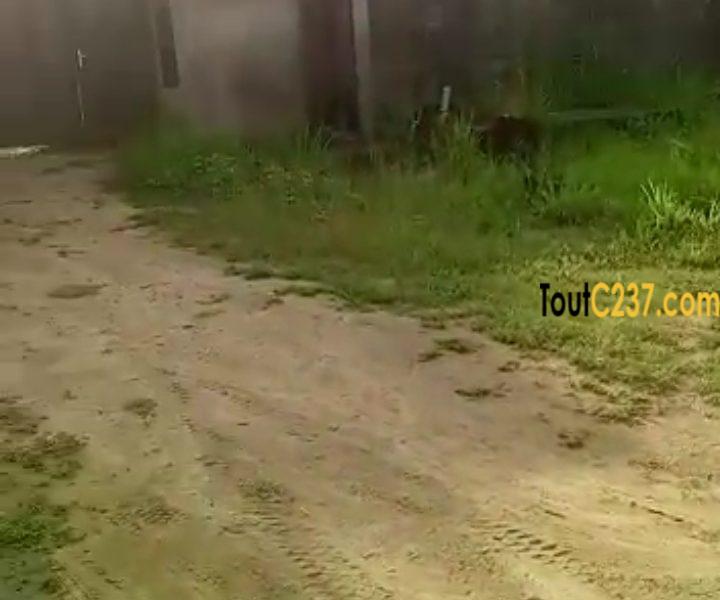 Entrepôt avec bureau à vendre à Yassa