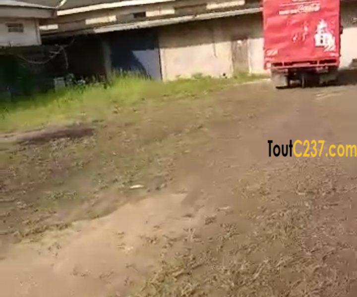 Entrepôt avec bureau à vendre à Yassa
