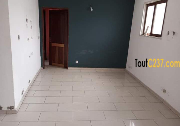 Appartement à louer à Bonapriso Douala