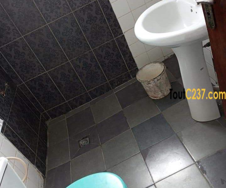 Appartement à louer à Bonapriso Douala