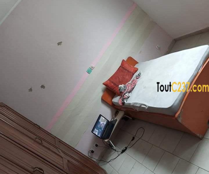 Appartement à louer à Bonapriso Douala