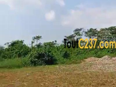 Terrain a vendre à Denver Bonamoussadi