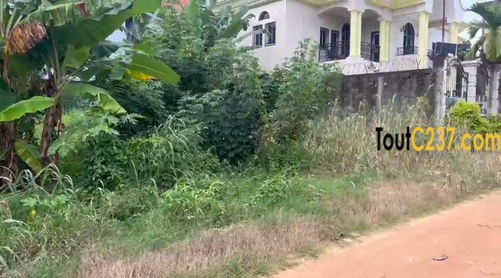 Terrain a vendre à Logbessou (Témoins de Jéhovah)