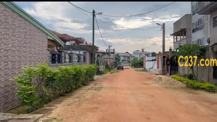 Terrain a vendre à Logbessou (Témoins de Jéhovah)