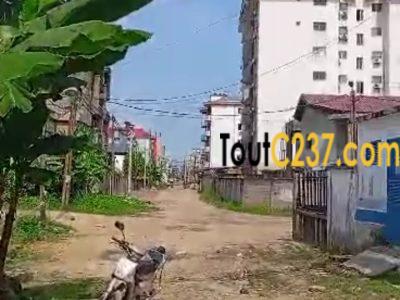 Terrain à vendre à Bonamoussadi (Denver)