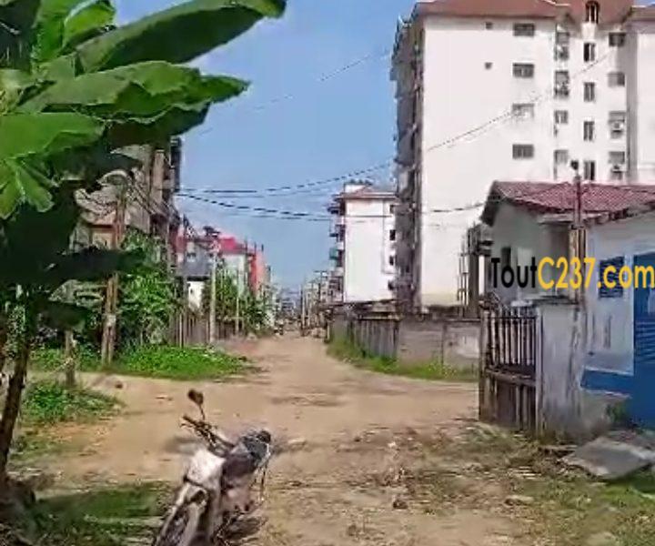 Terrain à vendre à Bonamoussadi (Denver)