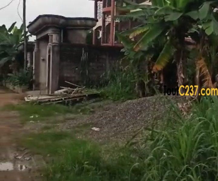 Terrain à vendre à Logpom,, Douala