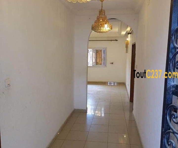 Vaste appartement à louer à Bonamoussadi