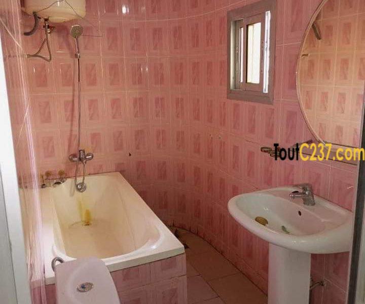 Vaste appartement à louer à Bonamoussadi