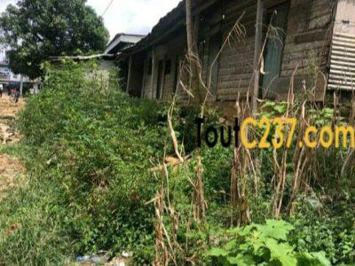 Terrain a vendre à Ange Raphaël, Douala