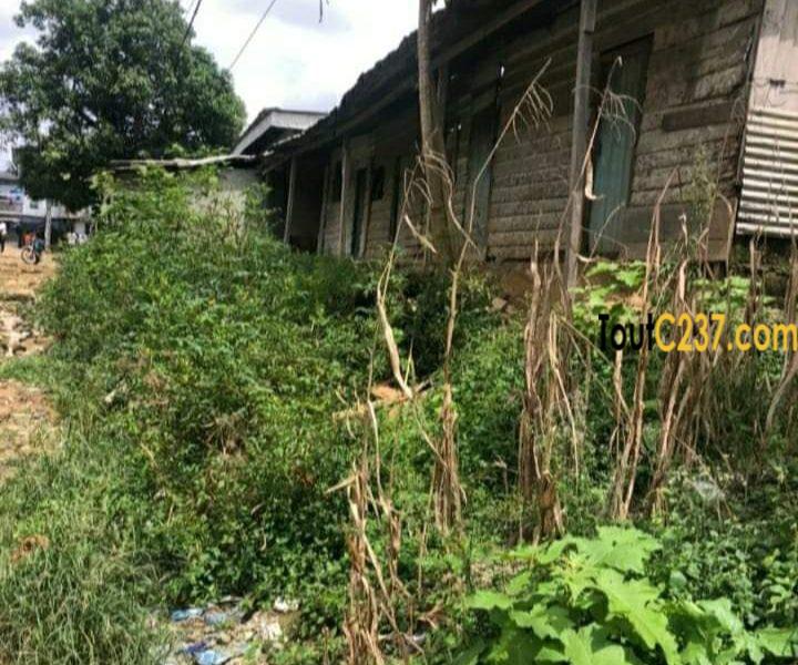 Terrain a vendre à Ange Raphaël, Douala