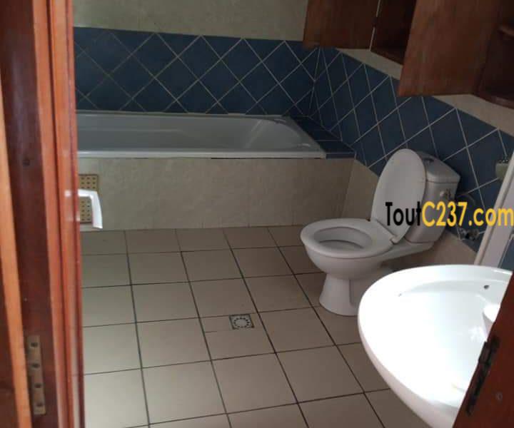 Appartement à louer à Bonapriso Douala