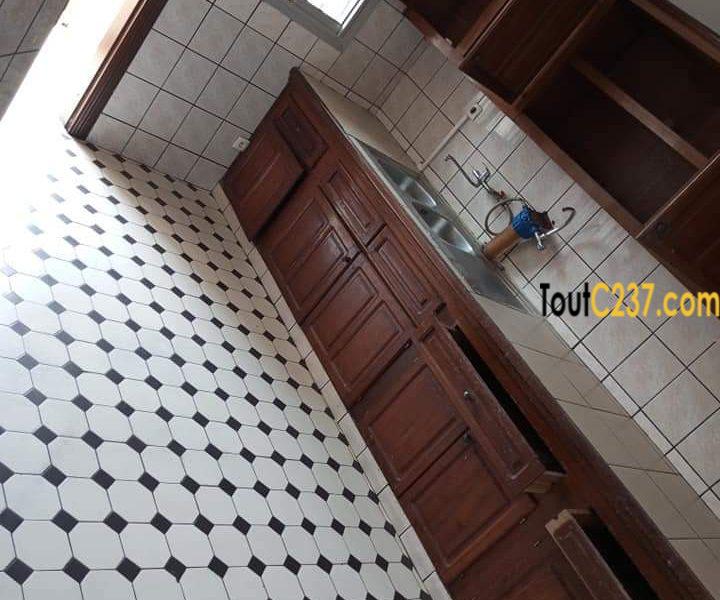 Appartement à louer à Bonapriso Douala