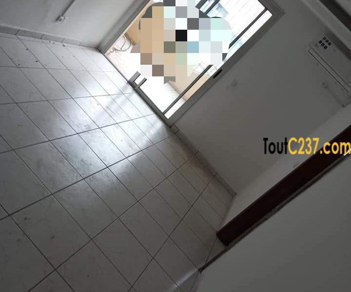 Appartement à louer à Bonapriso Douala