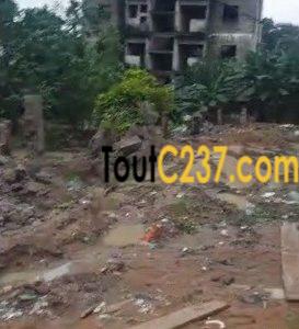 Terrain commercial à vendre à Kotto Bangue