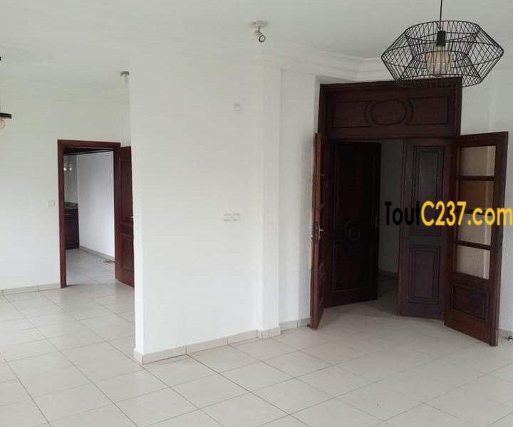 Vaste appartement à louer à Bonamoussadi