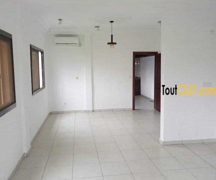 Vaste appartement à louer à Bonamoussadi