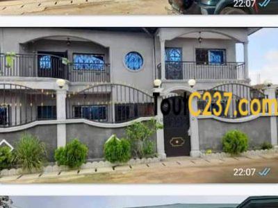 Immeuble R+1 à vendre Japoma