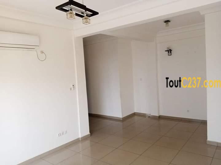 Appartement à louer à Bonanjo Douala