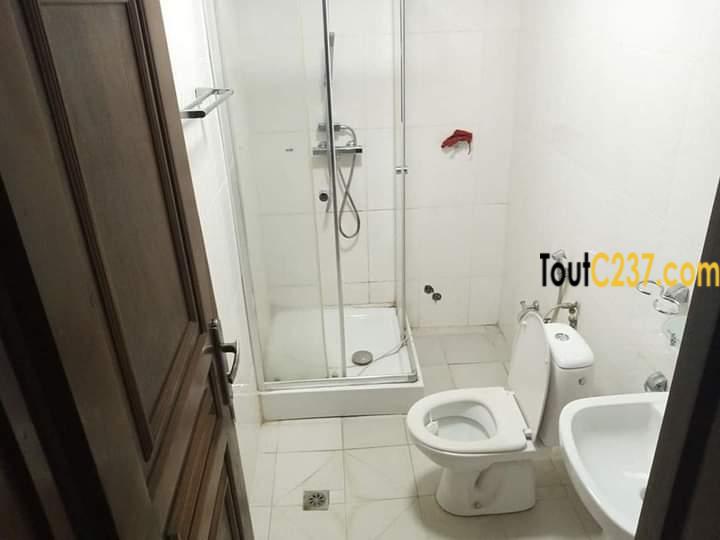 Appartement à louer à Bonanjo Douala