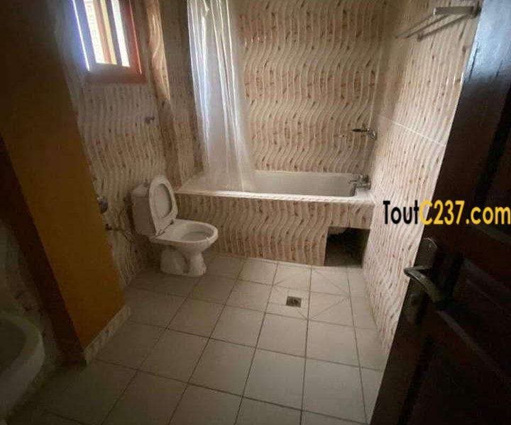 Appartement à louer à Bonanjo Douala