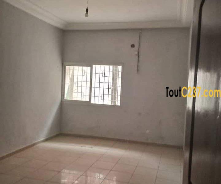 Appartement privé à louer à Bonamoussadi
