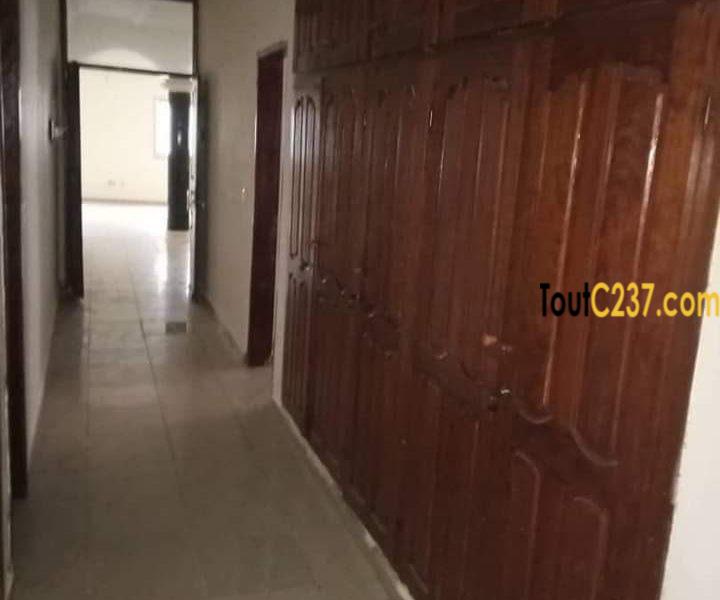 Appartement privé à louer à Bonamoussadi