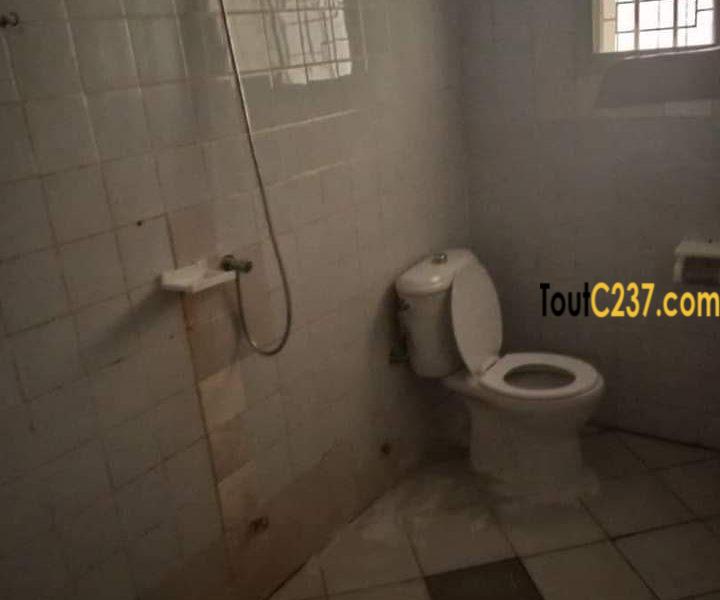 Appartement privé à louer à Bonamoussadi