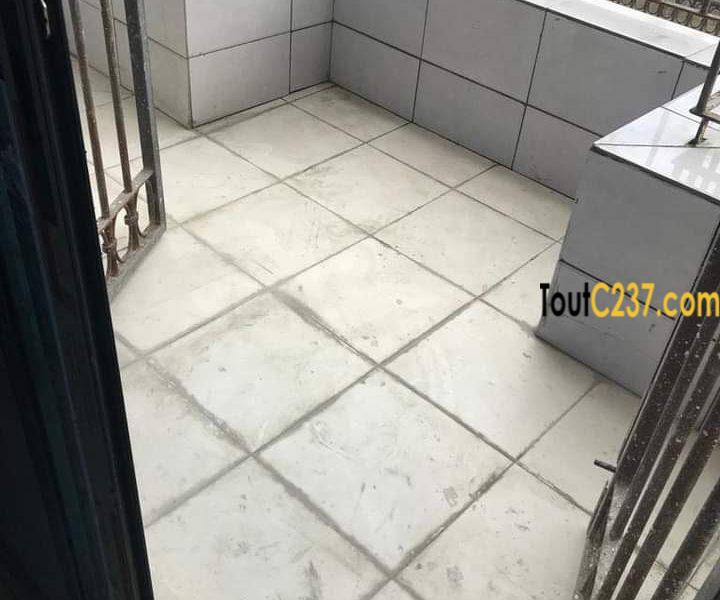 Appartement neuf à louer à Saint Michel