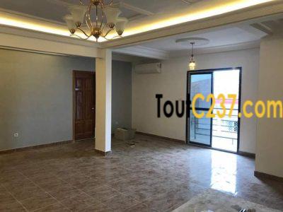 Appartements neufs à louer à Youpwe, Douala