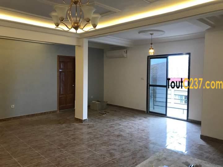Appartements neufs à louer à Youpwe, Douala