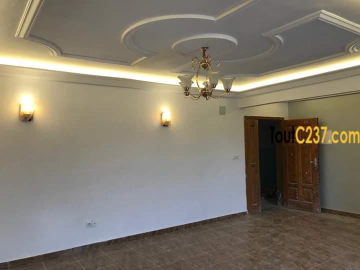 Appartements neufs à louer à Youpwe, Douala