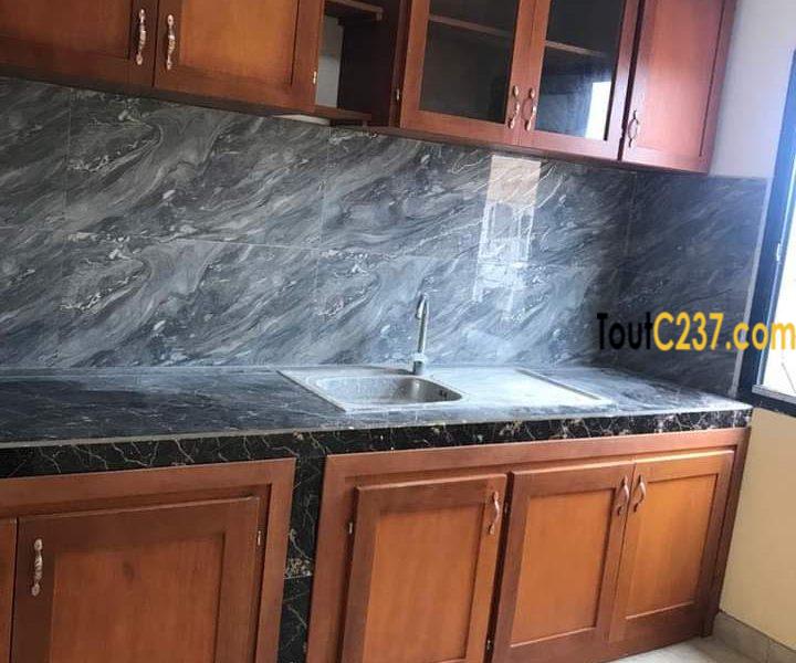 Appartements neufs à louer à Youpwe, Douala