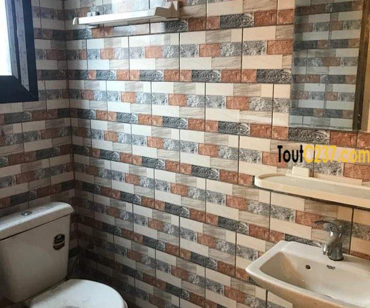 Appartements neufs à louer à Youpwe, Douala