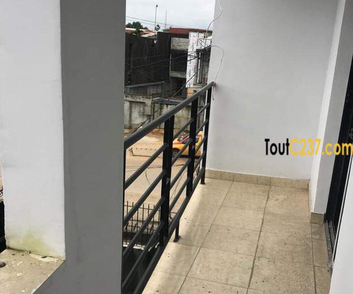 Appartements neufs à louer à Youpwe, Douala