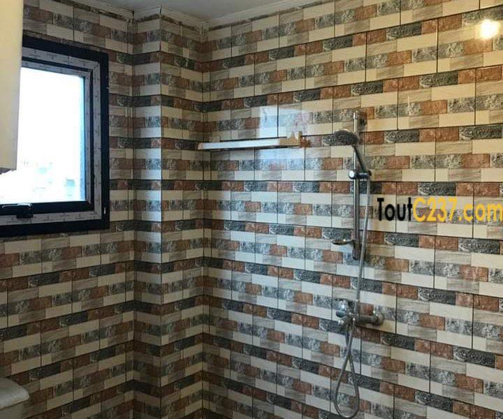 Appartements neufs à louer à Youpwe, Douala