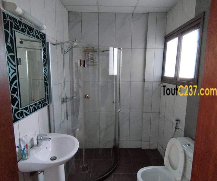 Vaste appartement à louer à Bonapriso