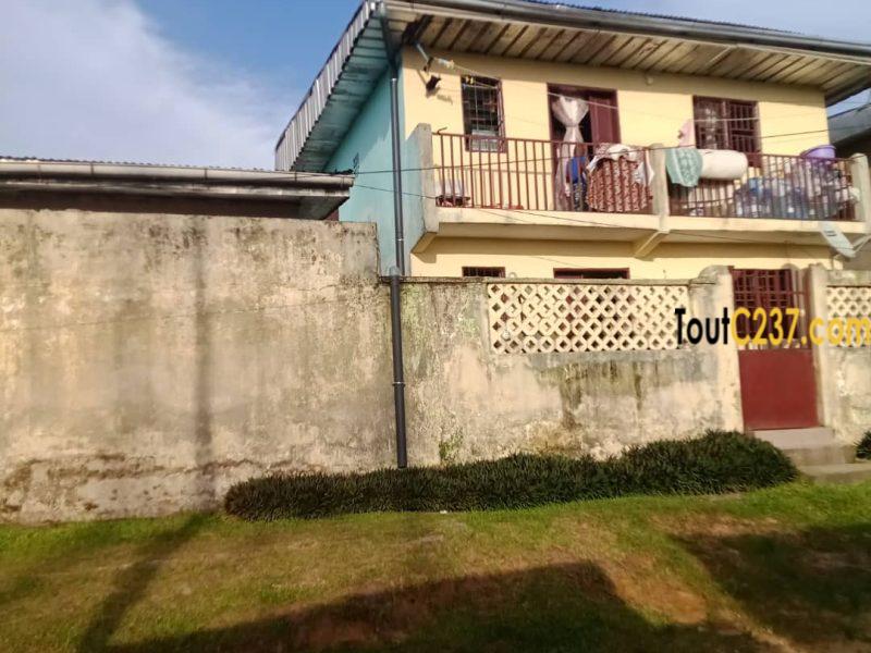 Maison à vendre à PK8, Douala