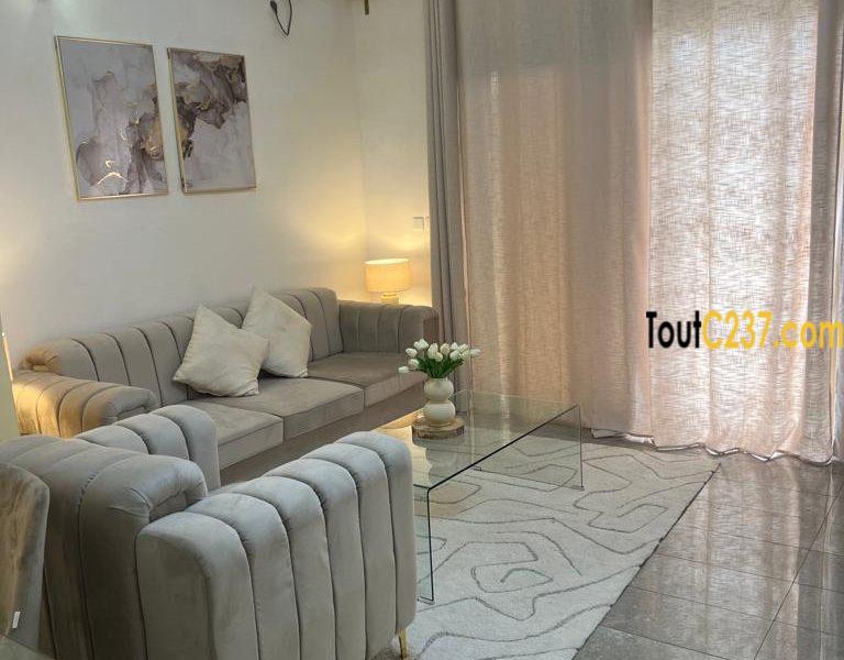 Appartement à louer à Saint-Michel (Grand Mall)