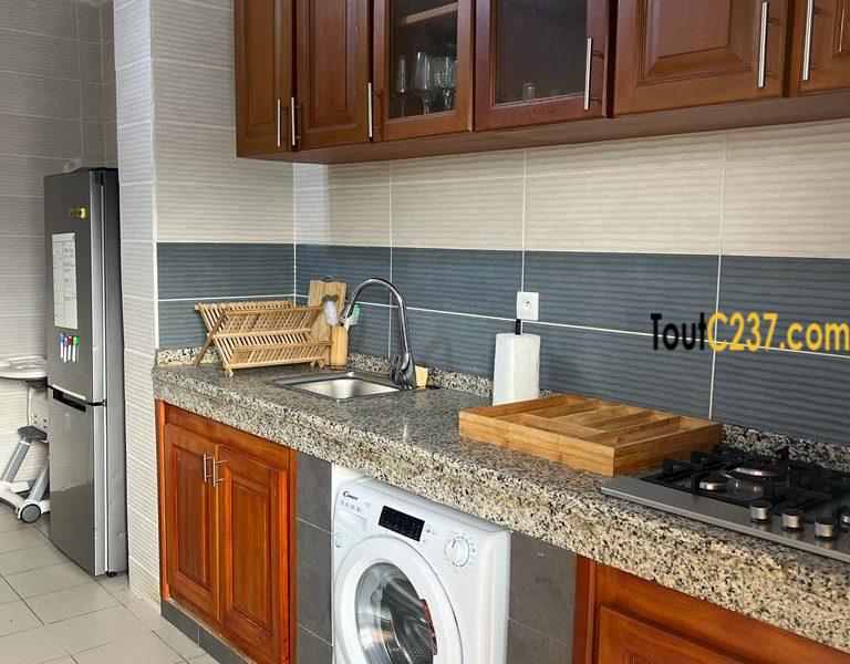 Appartement à louer à Saint-Michel (Grand Mall)