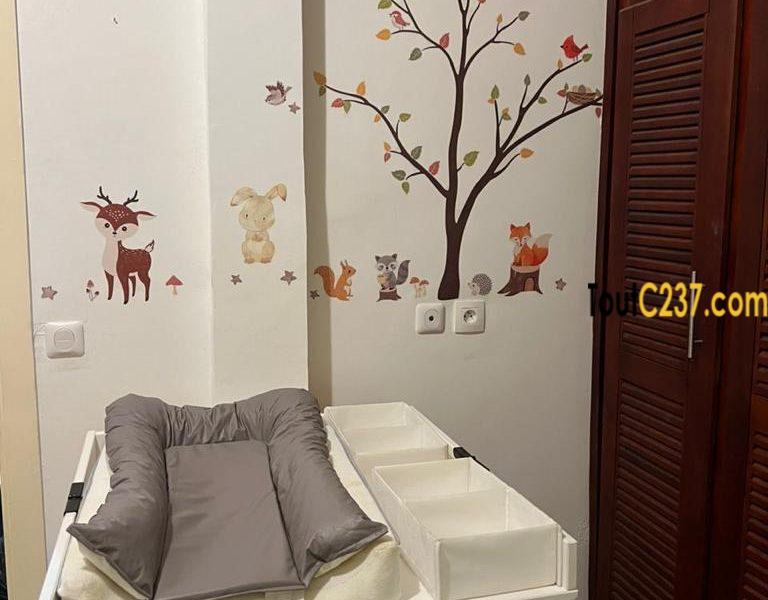 Appartement à louer à Saint-Michel (Grand Mall)