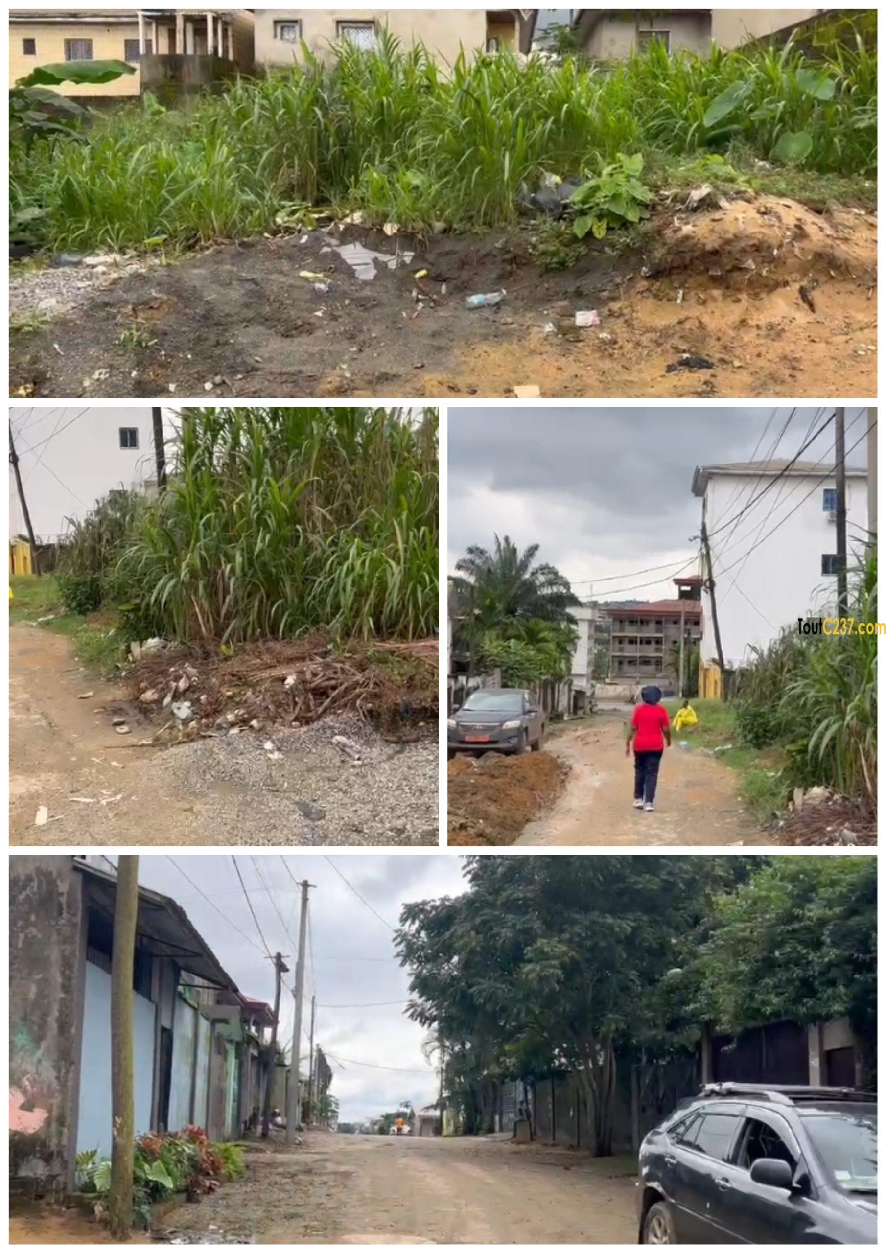 Terrain à vendre à Logpom Bassong