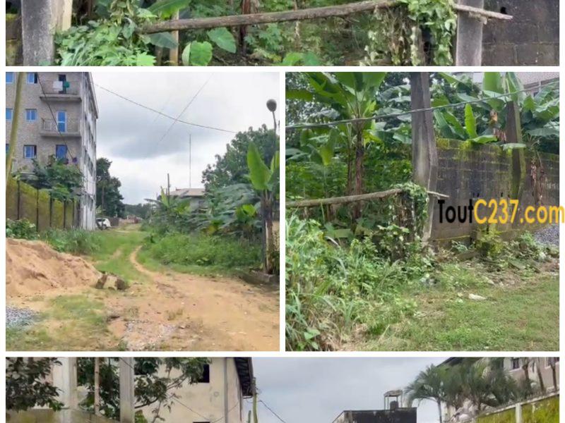 Terrain à vendre à Logpom (1ere avenue)