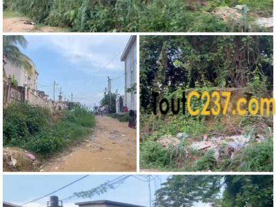 Terrain à vendre a Kotto Bangue (École Nal)