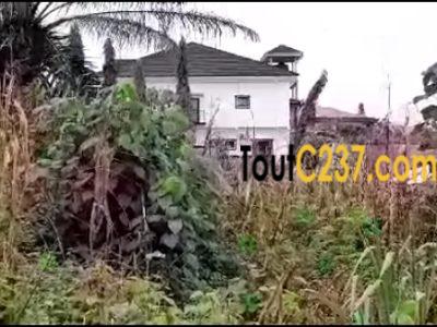 Terrain(morcellable) à vendre à Lendi, Douala