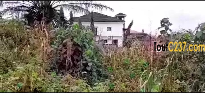 Terrain(morcellable) à vendre à Lendi, Douala