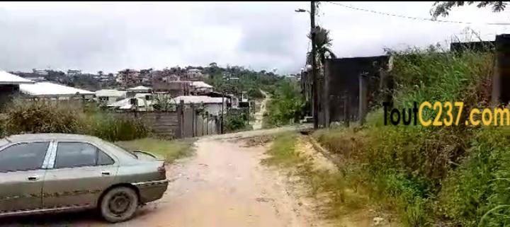 Terrain(morcellable) à vendre à Lendi, Douala