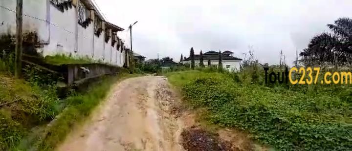 Terrain(morcellable) à vendre à Lendi, Douala