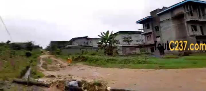 Terrain(morcellable) à vendre à Lendi, Douala