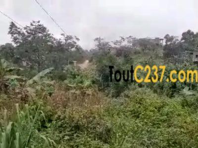 Terrain à vendre à Lendi, Douala